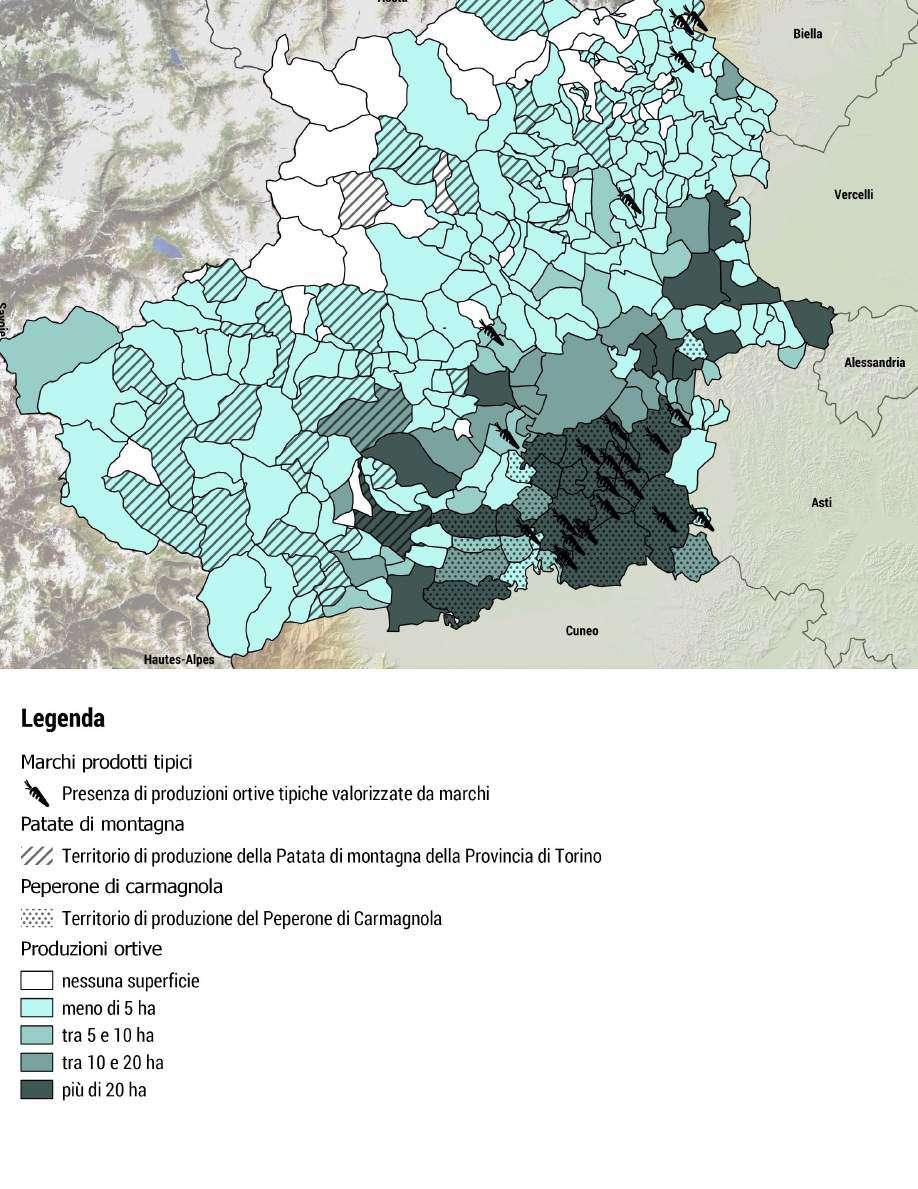 Turin Food System Diffusione delle produzioni ortive nel territorio della Città metropolitana di Torino e distribuzione degli areali di