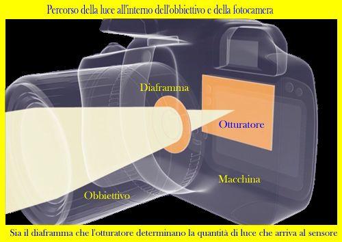 Elementi di una