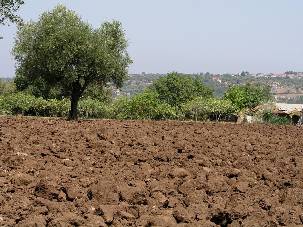 La fertilità fisica di un suolo è la capacità continuata nel tempo di ospitare nel proprio sistema dei pori aria, acqua ed apparati