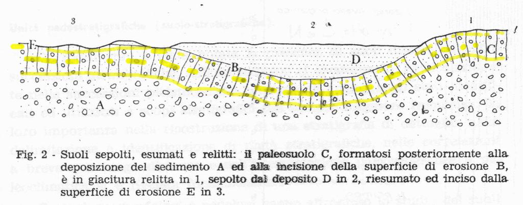 Ovviamente per la geologia del Quaternario sono importanti i paleosuoli 3 2 1 Relitto: perché