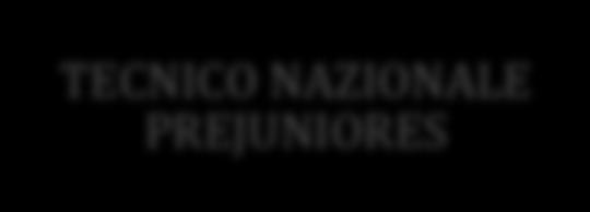 successivi del presente documento, verranno descritte attività, competenze, principi attuativi