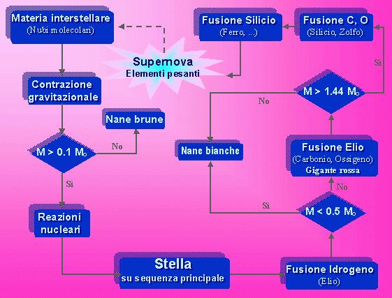 Il ciclo di