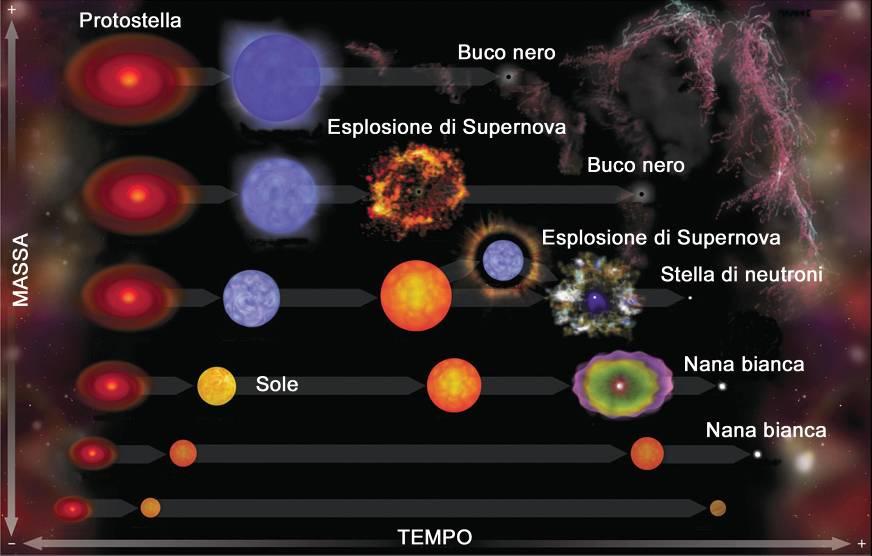 Il ciclo di