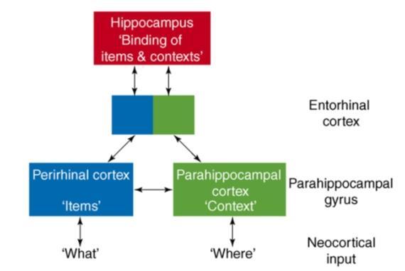 Semantic memory deficits in AD When