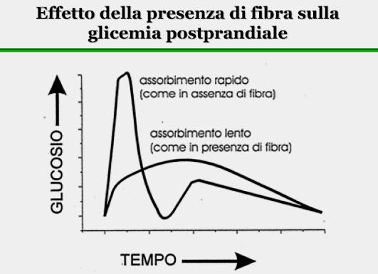 Inoltre, la riduzione della colesterolemia viene attribuita all aumentato ricambio di colesterolo, per rimpiazzare i sali