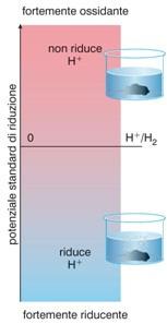 Utilizzando come riferimento l elettrodo a idrogeno si ricava una scala dei potenziali standard di riduzione E 0 delle varie coppie redox, che permette di prevedere la polarità di una pila e di