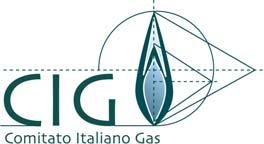 COMUNICATO STAMPA DEL COMITATO ITALIANO GAS CIG INCIDENTI DA GAS COMBUSTIBILE DELL ANNO 2006 Il presente comunicato stampa è stato rilasciato dal Comitato Italiano Gas - CIG in occasione della
