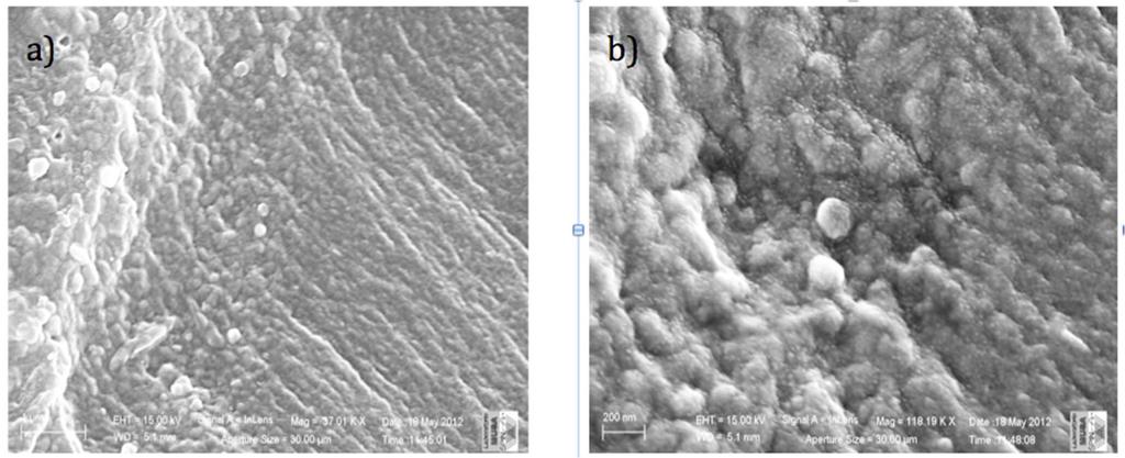 ANALISI MORFOLOGICA MEDIANTE MICROSCOPIO