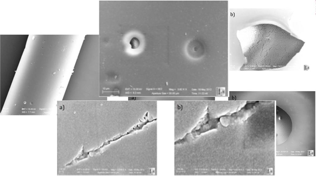 ANALISI MORFOLOGICA MEDIANTE MICROSCOPIO