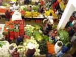 mercato indiano d America centrale, o (i lunedì) visita