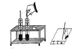 CROMATOGRAFIA SU STRATO SOTTILE TLC (THIN LAYER CHROMATOGRAPHY) 34 34 Cromatografia di adsorbimento in cui la fase stazionaria è