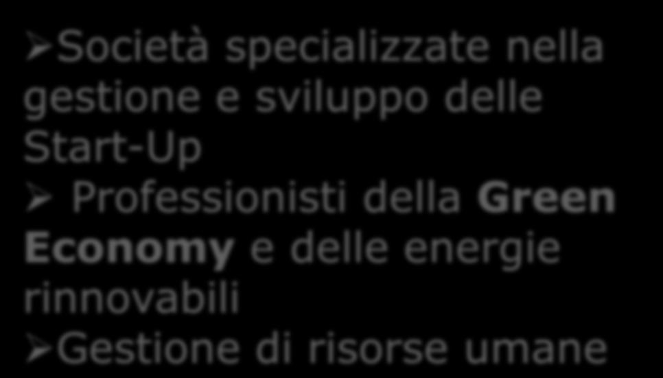 Società specializzate nella gestione e sviluppo delle