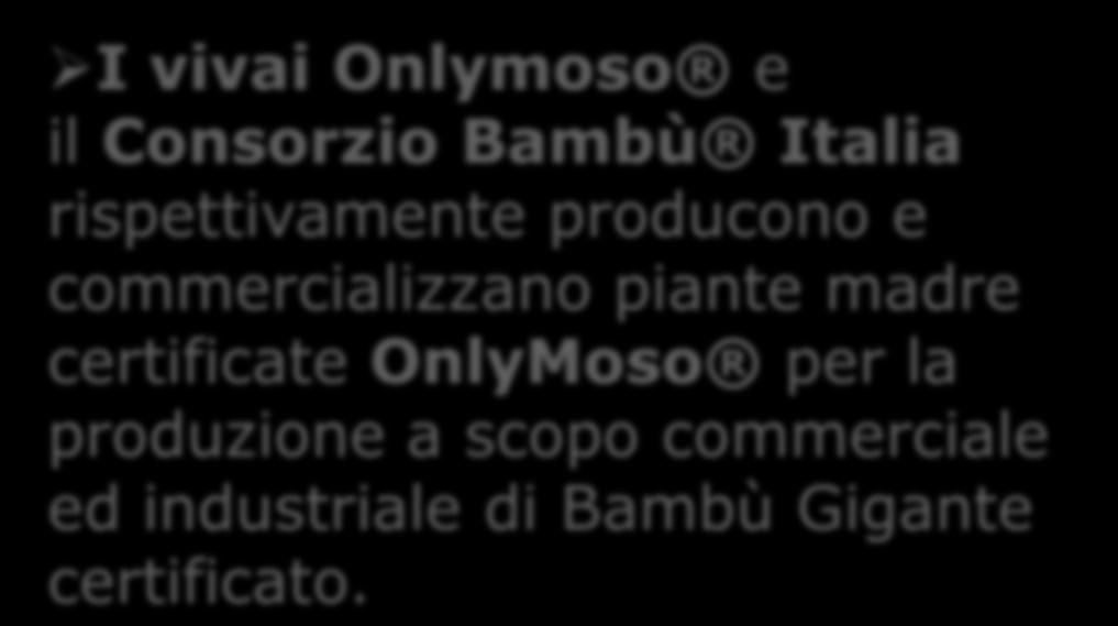 rinnovabili Gestione di risorse umane I vivai Onlymoso e il