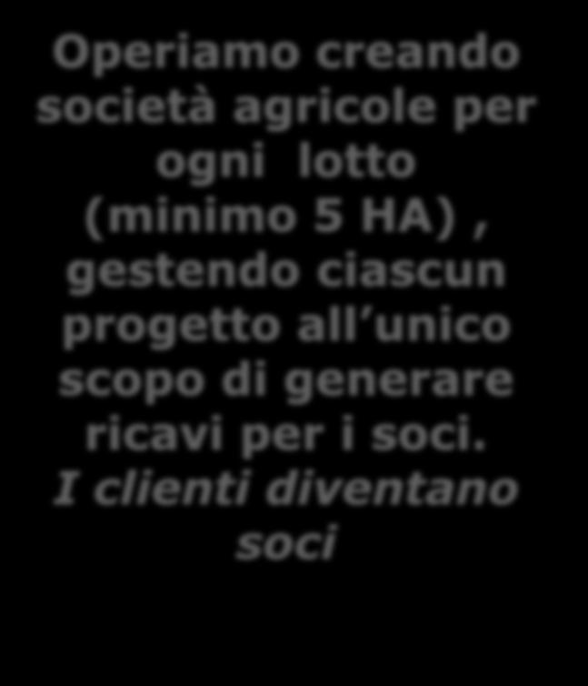 Operiamo creando società