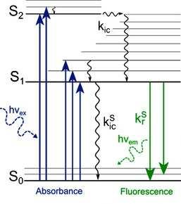 L emissione di fluorescenza Origina da stati di singoletto elettronico.