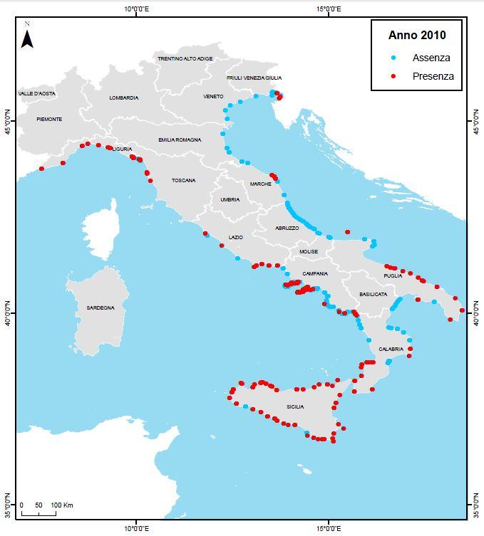 N. Regioni 14 Siti 325 Siti positivi 157 % siti positivi 48,31 Siti con abbondanze 10000 cell /L 42 % Siti con abbondanze 10000 cell/l