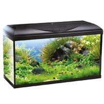 ACQUARIOLOGIA Include FILTRO BIOLOGICO BLACK BOX 100 POMPA STREAM 480 E MATERIALI FILTRANTI RISCALDATORE TROPICO 100 W IMPIANTO ILLUMINAZIONE LED 8 W WAVE ACQUARIO BASIC 80 LED 82X32X45 H 119,99