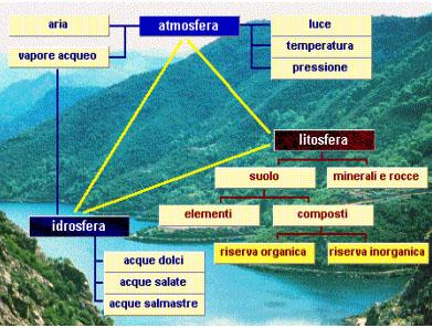 L ecologia (dal greco oikos: casa, ambiente) è la scienza che studia le relazioni tra gli organismi e l ambiente in cui vivono in un reciproco rapporto di influenza.