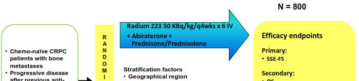 Phase III Randomized Study