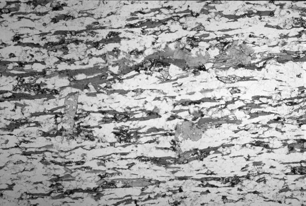 Provincia Autonoma di Trento - Servizio Geologico K-feldspato, albite, quarzo, muscovite, biotite, epidoto (talora allanitico). Ove la roccia è deformata la clorite è abbondante. 5.1.