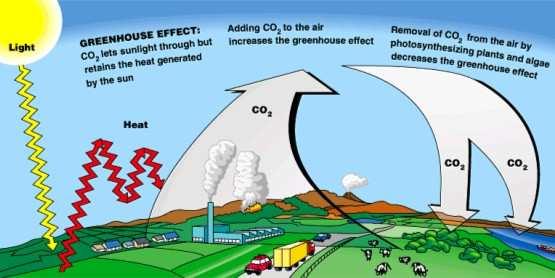 La CO2 NON è l unico Gas ad effetto SERRA (ma è il più importante)