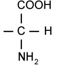 Aminoacidi proteici H NH 2 la funzione aminica e la funzione carbossilica sono legate allo stesso atomo di carbonio: il C (alfa) il gruppo R è