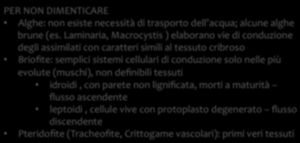 sistemi cellulari di conduzione solo nelle più evolute (muschi), non definibili tessuti idroidi, con parete non lignificata, morti