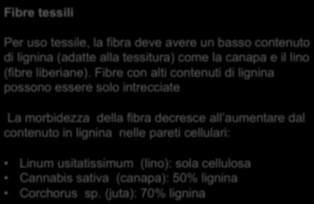 Fibre tessili Per uso tessile, la fibra deve avere un basso contenuto di lignina (adatte alla tessitura)