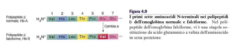 La variazione di un