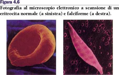 provocare gravi effetti