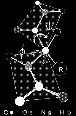 Esempio: catena polipeptidica composta da 100 aa Stato n singola a-elica f e y ~ -60º Stato r random coil f e y qualsiasi (N.B.