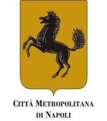 Città Metropolitana di Napoli Area Edilizia Scolastica Dipartimento Amministrativo Edilizia Scolastica DETERMINAZIONE N DEL Prot. int. n.