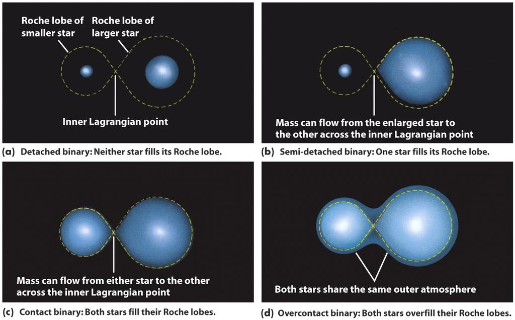 Le Stelle Binarie Le stelle binarie si possono classificare in base alle dimensioni delle stelle rispetto al loro