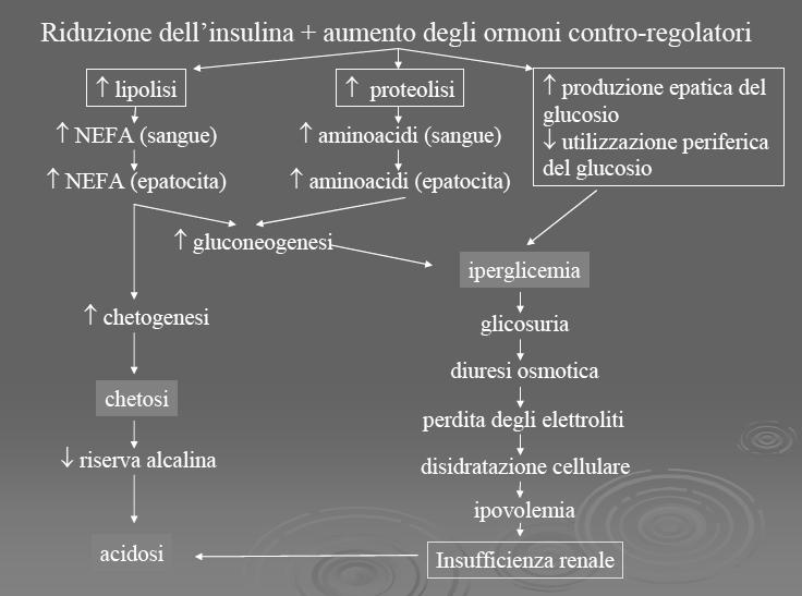 CONDIZIONI ASSOCIATE