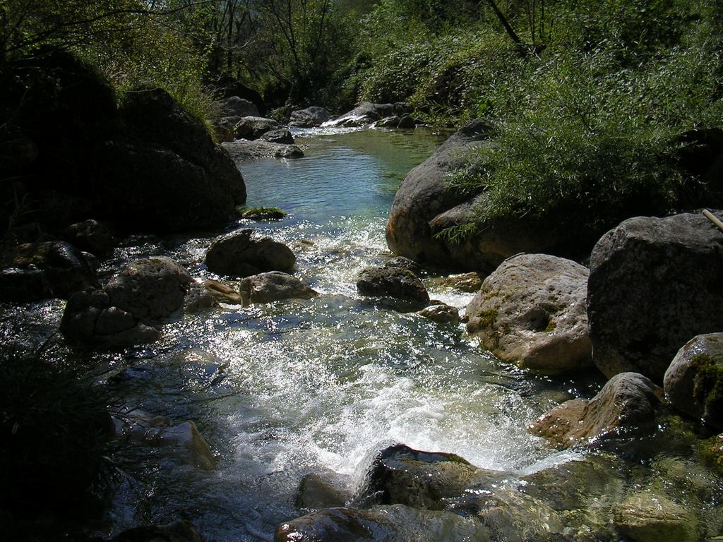 Il valore ecologico