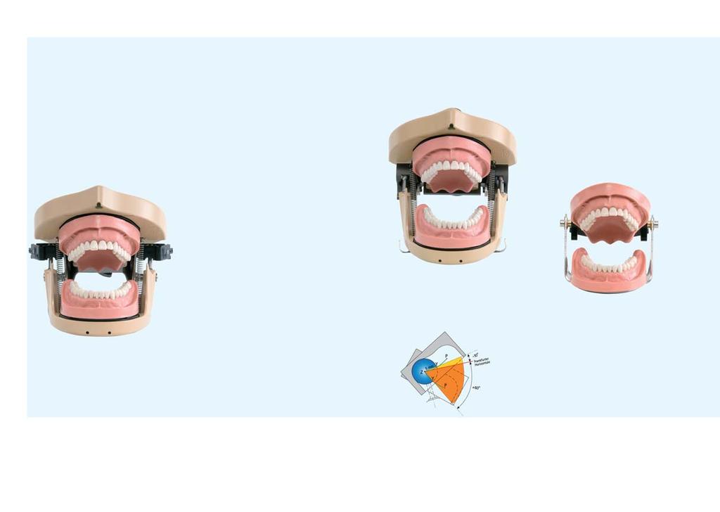 Prospetto del prodotto. Al centro dell attività odontoiatrica sta il paziente.