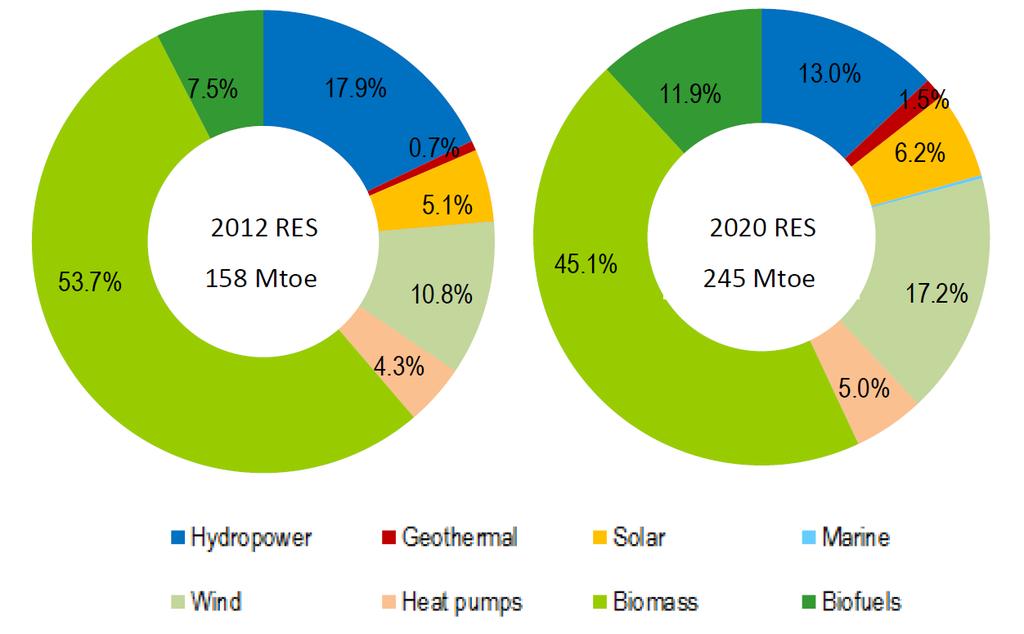 Bioenergy: the EU leading renewable energy source