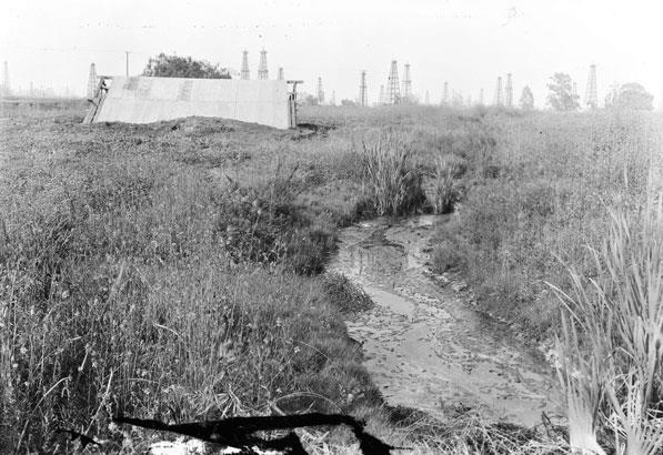 La Brea Tar Pit