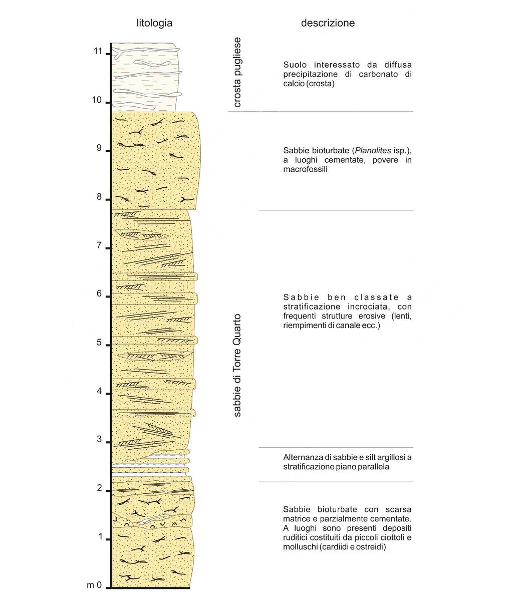Descrizione stratigrafica di una serie plio-pleistocenica di un area nei pressi della diga Capacciotti (S.