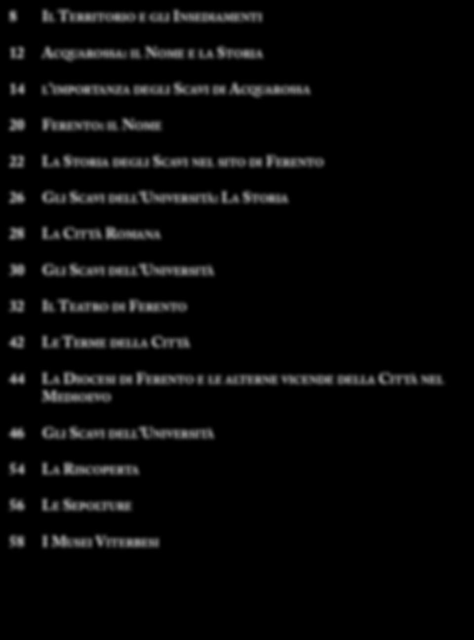 La Città Romana 30 Gli Scavi dell Università 32 Il Teatro di Ferento 42 Le Terme della Città 44 La Diocesi di Ferento e