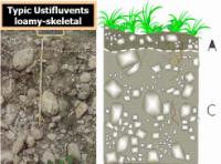 Stima Ksat Correzione scheletro (Rock Fragments) Aumento della macroporosit à fra frammenti di roccia.