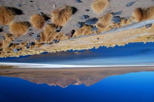 Proseguimento verso il Salar de Atacama, distesa di sale di rara bellezza all interno della quale si puó ammirare la laguna Chaxa, habitat di fenicotteri rosa.