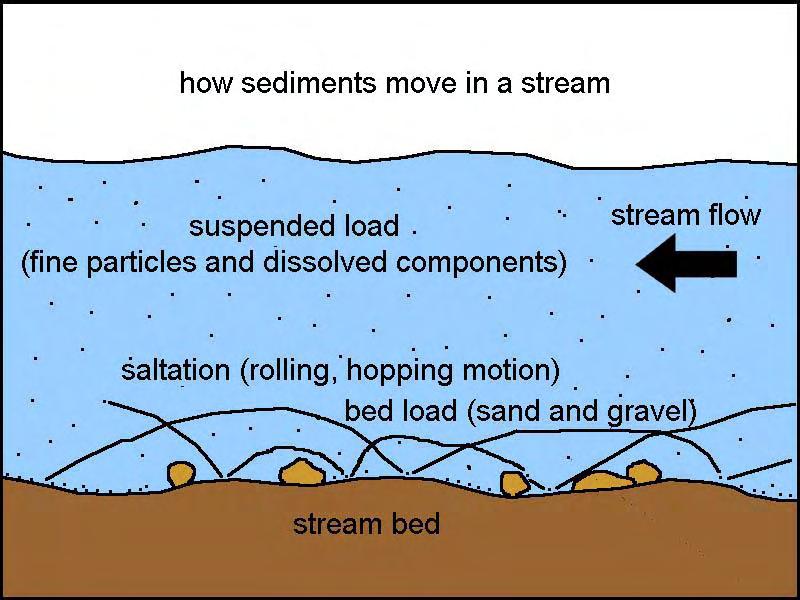 Sedimentology Suspended load: Mud