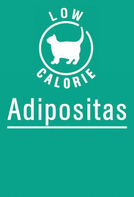 INTEGRA Protect ADIPOSITAS - Obesi Alimento completo per gatti in sovrappeso o con la tendenza ad ingrassare L obesità è una malattia del benessere che si manifesta piuttosto frequentemente e che è
