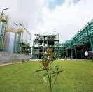 La bioraffineria di Porto Torres rappresenta un modello virtuoso di integrazione tra produzione industriale e agricola, che mette a sistema e valorizza tutti gli elementi della filiera, a partire
