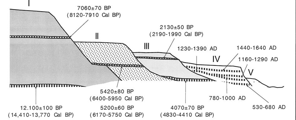 I depositi alluvionali olocenici di... 203 Fig. 3 Sezioni geologiche schematiche dei sedimenti alluvionali studiati nella porzione occidentale di Campo Imperatore. Legenda Fig.