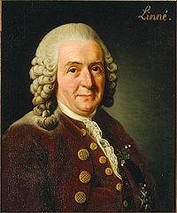 Il fissismo pre-darwiniano Carlo Linneo (1707 1778) Il sistema della natura (1735) I tipi ideali