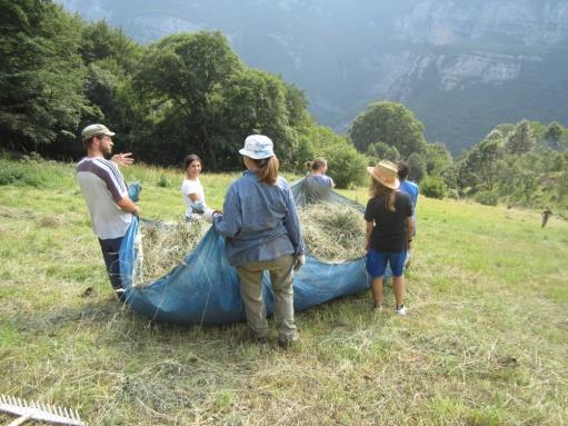 Gruppi di giovani iniziarono a riunirsi per svolgere lavori manuali fra i più vari: raccolta di carta, ferro, giardinaggi, lavori agricoli,