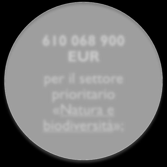 «Natura e biodiversità»; 162 999 836 EUR per il settore prioritario «Governance e