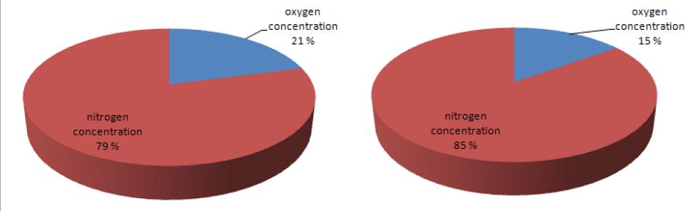 Impianti Estinzione/Controllo L impianto che meglio conserva e protegge testi e